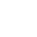 RFIDIcon