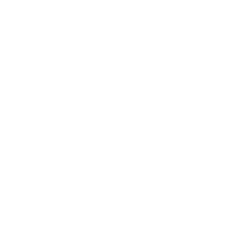 SeeFlexLogo